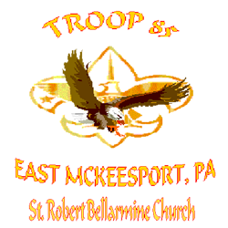 Boy Scout Troop 85